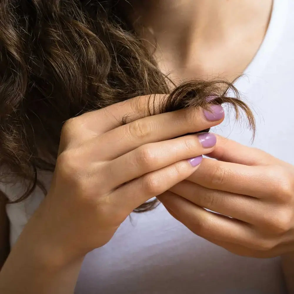 Split End Manager