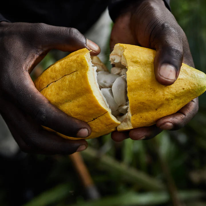 Kakaonibs fra Congo