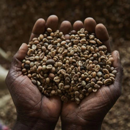 Kaffe fra Congo